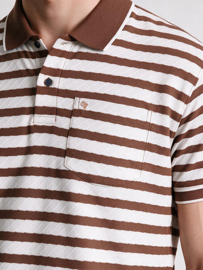 Dark Brown Horizontal Stripes Polo T Shirt